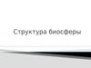 Структура биосферы
