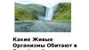 Какие живые организмы обитают?