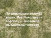 По страницам великой жизни. Л.Н. Толстой человек, мыслитель, писатель. (1828-1910)