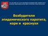 Возбудители эпидемического паротита, кори и краснухи