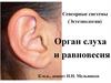 Сенсорные системы (Эстезиология). Орган слуха и равновесия
