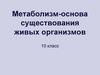 Метаболизм - основа существования живых организмов. 10 класс