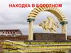 Находка в Болотном