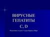 Вирусные гепатиты. Хронические вирусные гепатиты