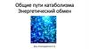 Общие пути катаболизма. Энергетический обмен