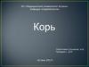 Корь