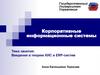 Корпоративные информационные системы