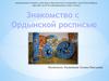 Знакомство с Ордынской росписью