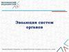 Эволюция систем органов