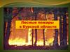 Лесные пожары в Курской области