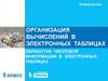 Организация вычислений в электронных таблицах. Обработка числовой информации в электронных таблицах. Информатика. 9 класс