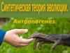 Синтетическая теория эволюции. Антропогенез