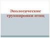 Экологические группировки птиц