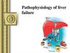 Pathophysiology of the liver failure