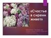 Счастье в сирени живет
