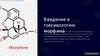 В ведение в токсикологию морфина. Фармакокинетика морфина