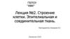 Строение клетки. Эпителиальная и соединительная ткань  (лекция № 2)