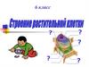 Строение растительной клетки  (6 класс)