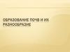 Образование почв и их разнообразие
