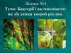 Бактерії і актиноміцети- як збудники хвороб рослин. Лекція №4