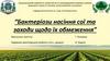 Бактеріози насіння сої та заходи щодо їх обмеження