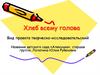 "Хлеб всему голова". Цель проекта познакомить детей с пользой и выращиванием хлеба