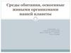 Среды обитания, освоенные живыми организмами нашей планеты