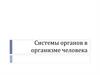 Системы органов в организме человека