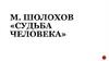 М. Шолохов «Судьба человека»