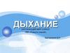 Дыхание. Практическая работа №1
