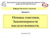 Основы генетики. Закономерности наследственности