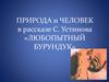 Природа и человек в рассказе С. Устинова «Любопытный бурундук»
