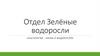 Отдел Зелёные водоросли