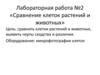 Сравнение клеток растений и животных. Лабораторная работа №2