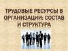 Трудовые ресурсы в организации. Состав и структура