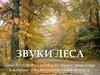 Звуки леса. Окружающий мир