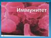 Иммунитет. Что такое иммунитет?