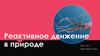 Реактивное движение в природе