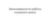 Закономерности работы головного мозга