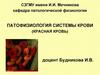 Кафедра патологической физиологии патофизиология системы крови (красная кровь)