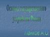 Основы государственного устройства РФ