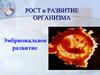 Рост и развитие организма. Эмбриональное развитие