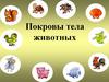 Покровы тела у животных