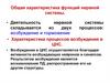 Общая характеристика функций нервной системы. Характеристика процессов возбуждения в ЦНС