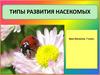 Типы развития насекомых. Урок биологии. 7 класс