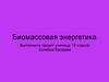 Использование биомассы для получения энергии  (10 класс)