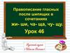 Правописание гласных после шипящих в сочетаниях жи- ши, ча- ща, чу- щу  (урок 46)