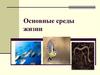 Основные среды жизни