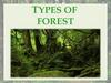 Types of forests
