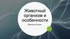 Животный организм и особенности